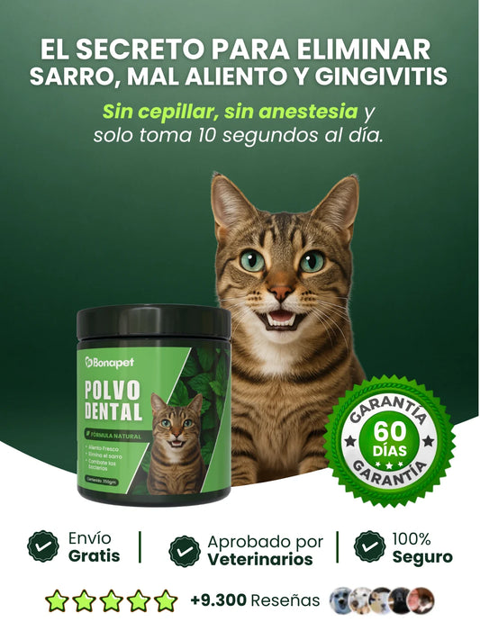 Polvo Dental Bonapet® gatos
